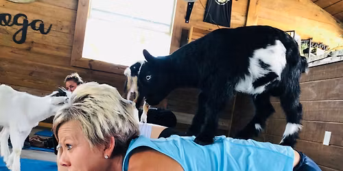 Goat Yoga