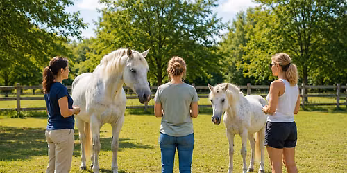 The Wisdom of Horses Mini-Retreat