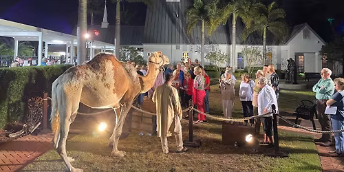 Family Christmas Experience & Live Nativity