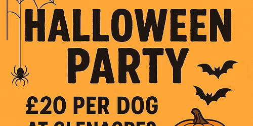 Halloween doggy daycare party