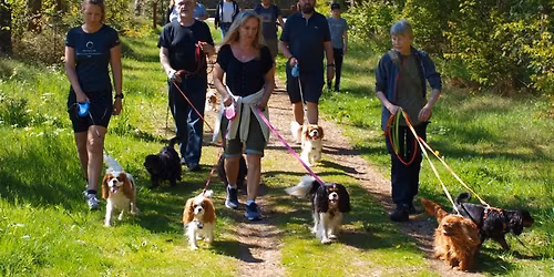 F\u00e6lles G\u00e5tur i Dollerup Bakker