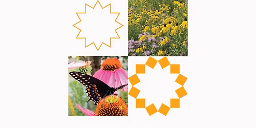 Plants & Pollinators with Wild Ones River City