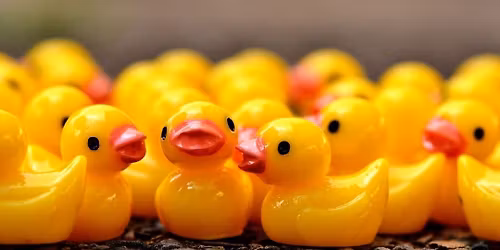 Ide CC Duck Race 2025