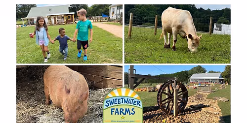 Baby LUCK Visits Sweetwater Farms!