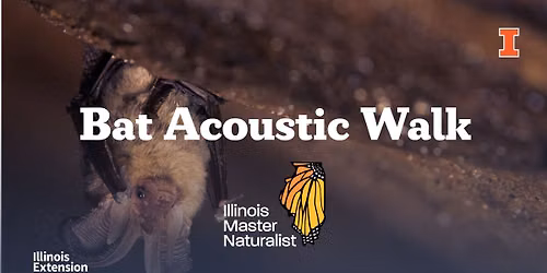 Bat Acoustic Walk - Nell's Woodland