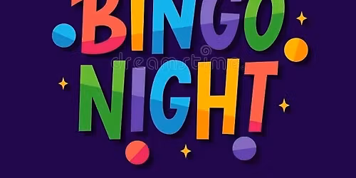 Ringing Rocks Bingo Night