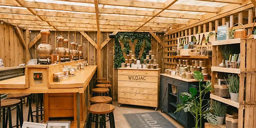 Gin School Experience