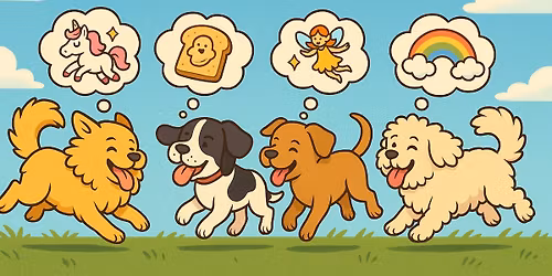 Hunderennen - Flausenlauf