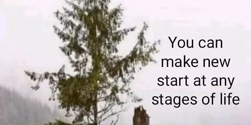 Free Ayurvedic Camp (Wellness for All Ages)