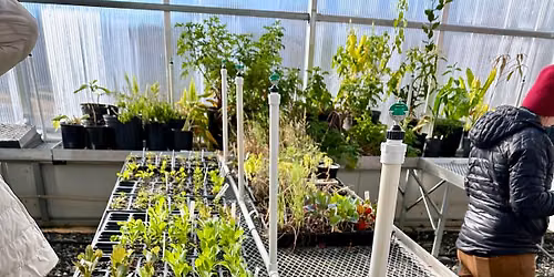 Fall Vegetable Seed Starting Workshop