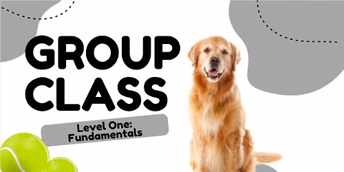 Level One: Fundamentals 7\/9