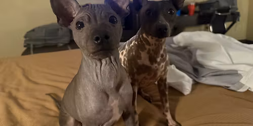 Group Training Class