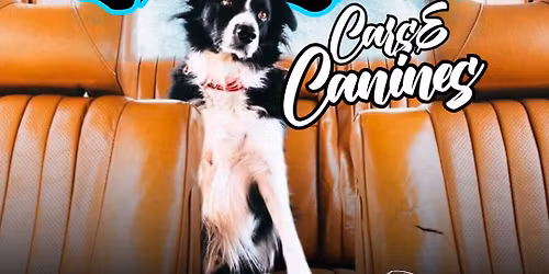Mesa Cars & Coffee - Cars & Canines Benefitting Follow Your Heart Animal Rescue