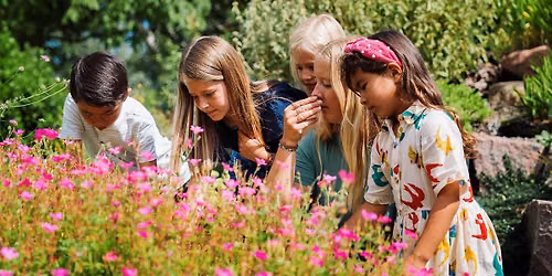 Magiske planter \u2013 familierundvisning i Botanisk Have