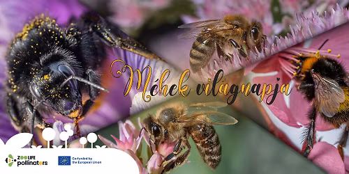 M\u00e9hek vil\u00e1gnapja