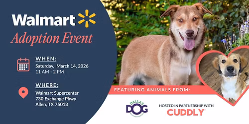 Walmart Adoption Event | Allen, TX