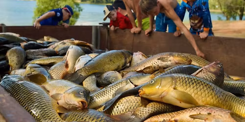 LAKE GLENBAWN FAMILY CARP MUSTER 2026