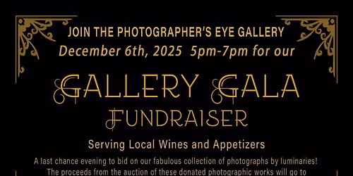 GALA FUNDRAISING AUCTION EVENING