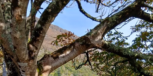 Day tour to Kylemore Abbey and Victorian Gardens