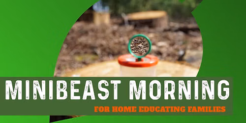 Minibeast Morning for Home Educating Families