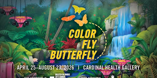 Color, Fly, Butterfly