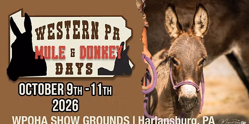 2nd Annual Western PA Mule & Donkey Days