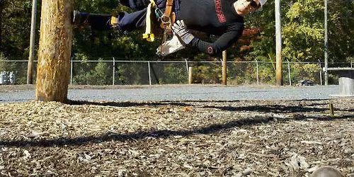 Auction\/Dinner Fundraiser