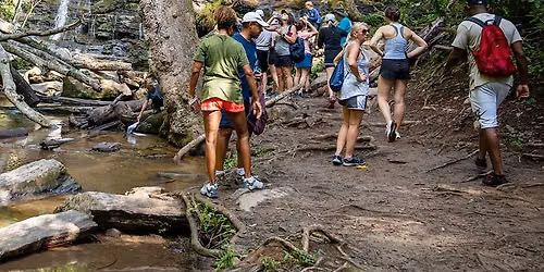 SC7 Day 2: Yellow Branch Hike
