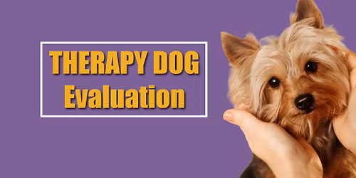 Therapy Dog Evaluations