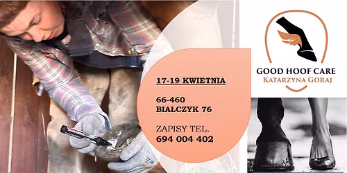 Warsztaty samodzielnego strugania z Kasi\u0105 Goraj \/ Good Hoof Care- Kopyta 4.0