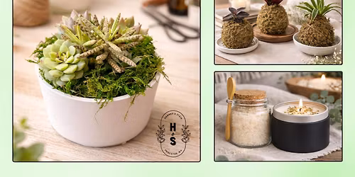 Rooted & Rested: A Succulent + Candle Experience