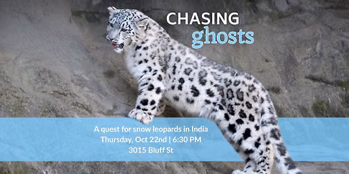 Chasing Ghosts: A Quest for Snow Leopards in India