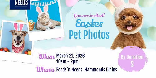 Easter Pet Photos Hammonds Plains