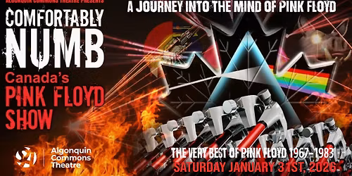 Comfortably Numb \u2013 A Journey Into the Mind of Pink Floyd
