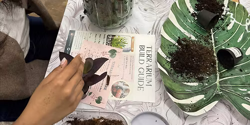 Sip & Create: Terrarium Workshop