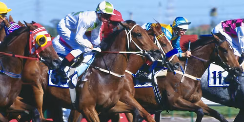 Melbourne Cup Luncheon 2025