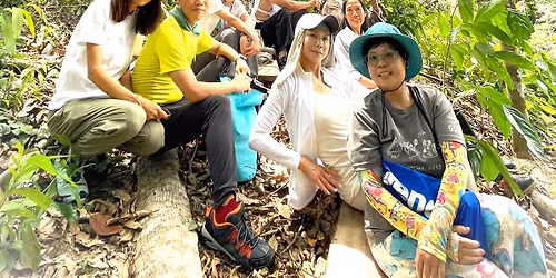 \u6cf0\u5357\u6d3b\u6027\u98f2\u98df\u8207\u80fd\u91cf\u4fee\u5fa9\u4e4b\u65c5 - 2026 !