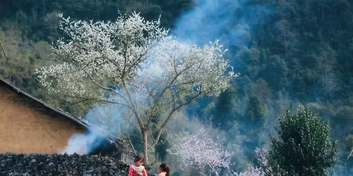 V\u1ec1 nh\u00e0 \u0111\u00f3n t\u1ebft B\u00ednh Ng\u1ecd 2026