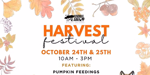 Harvest Festival