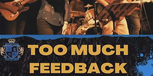 Too Much Feedback  - #LiveMusic #SaturdayNight