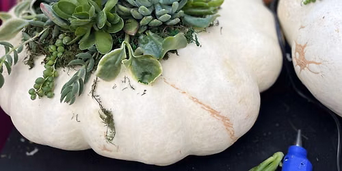 Succulent Pumpkin Workshop + Bookswap