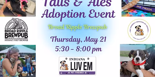 Tails and Ales Adoption Event