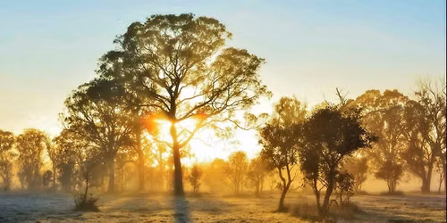 Nature therapy taster (FREE)