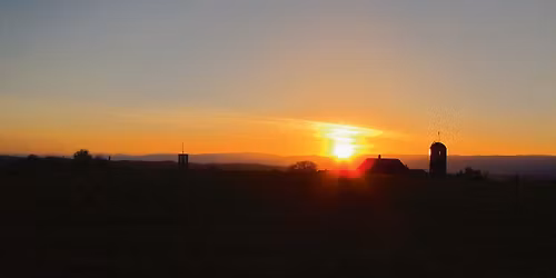 Country-Night Mauss 2026