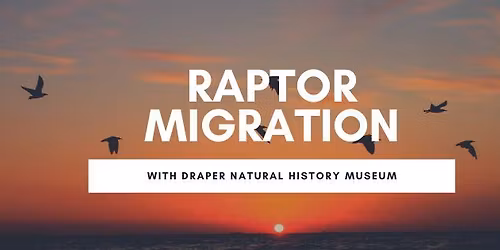 Raptor Migration with Draper Natural History Museum
