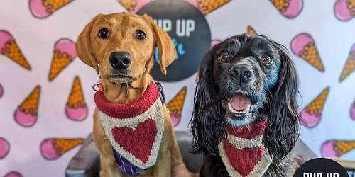  Newcastle - All Paws Pup Up Cafe \ud83d\udc9e