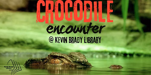 Crocodile Encounter