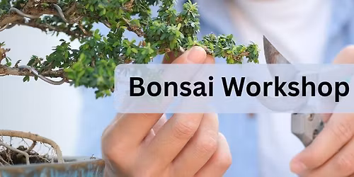 Bonsai Workshop: Azalea