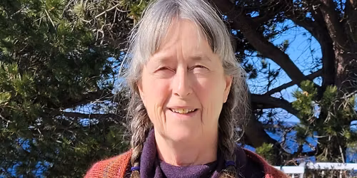 Author Sheila Peters