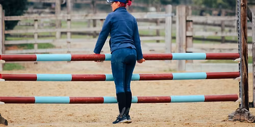Pole & Jumping clinic at Field Farm
